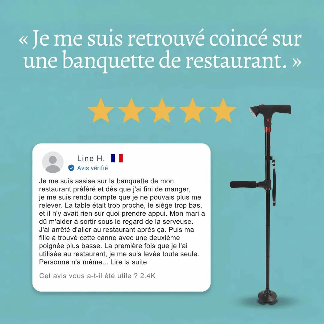 Canne de soutien avec lampe torche intégrée