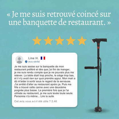 Canne de soutien avec lampe torche intégrée